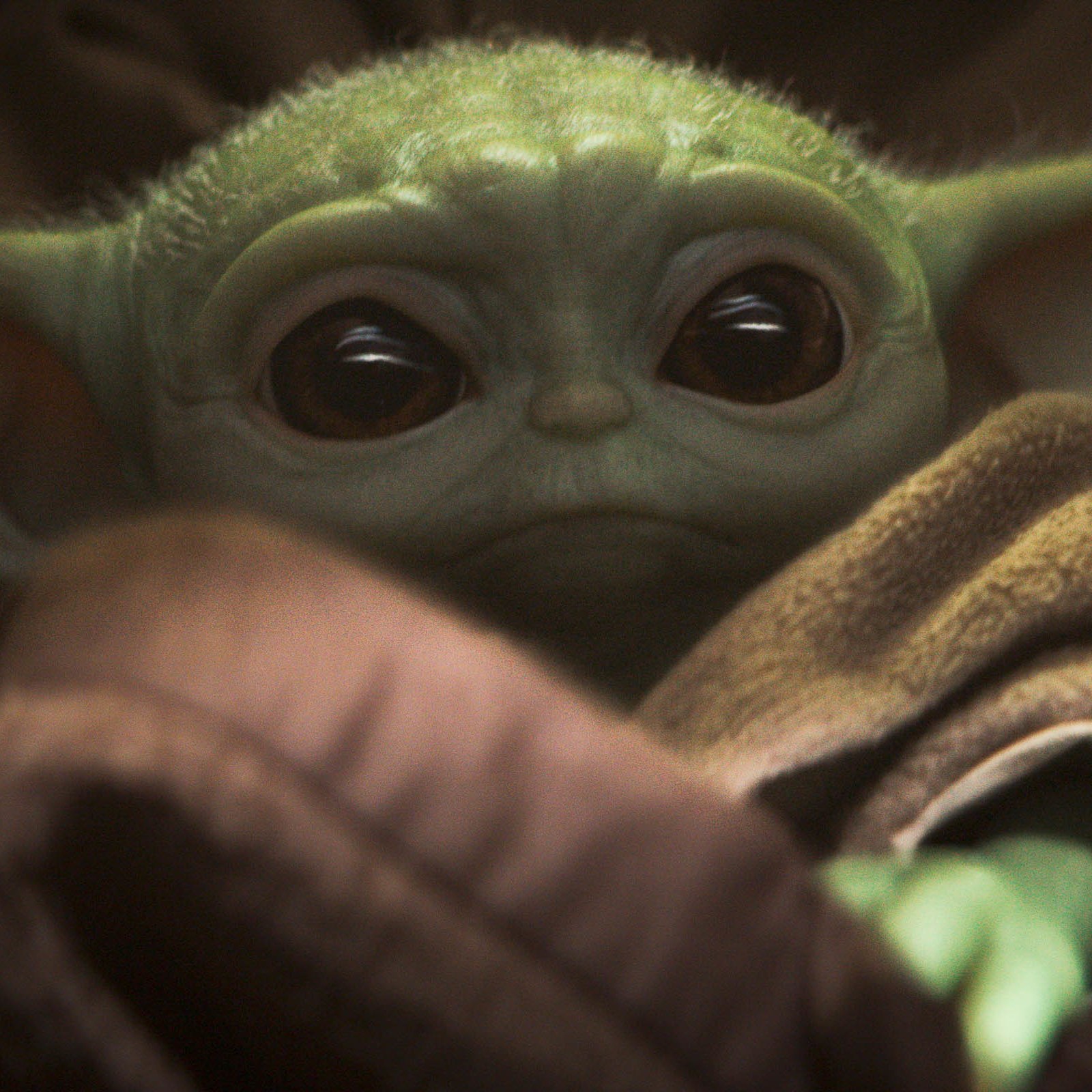 Baby Yoda Business Site